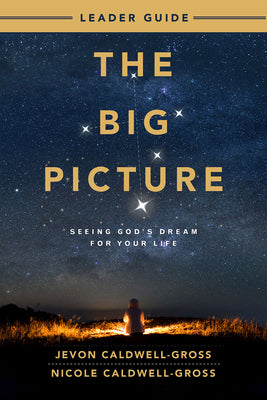 The Big Picture: Seeing God's Dream For Your Life (Leader Guide)