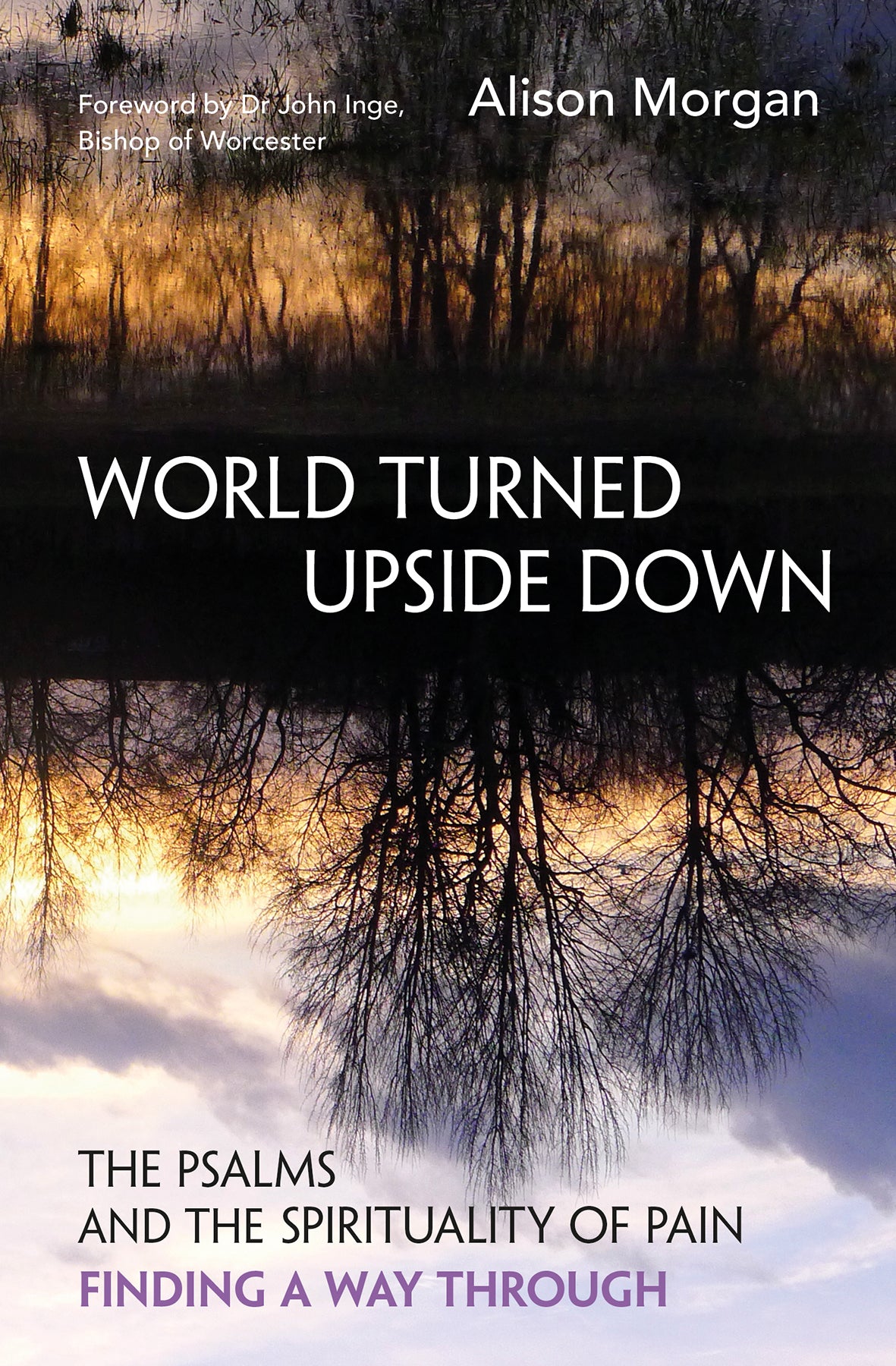 World Turned Upside Down: The Psalms and the Spirituality of Pain - Finding a Way Through