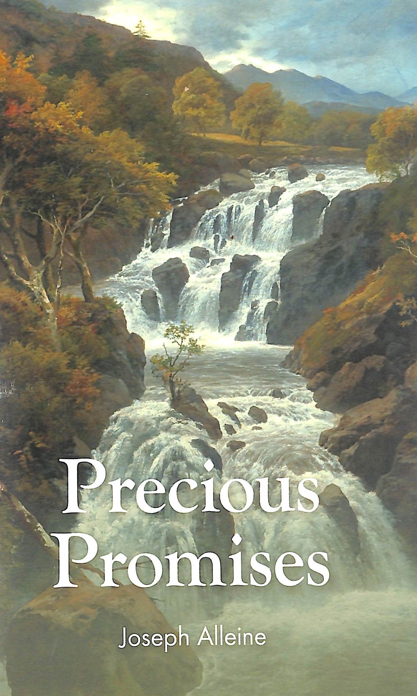 Precious Promises