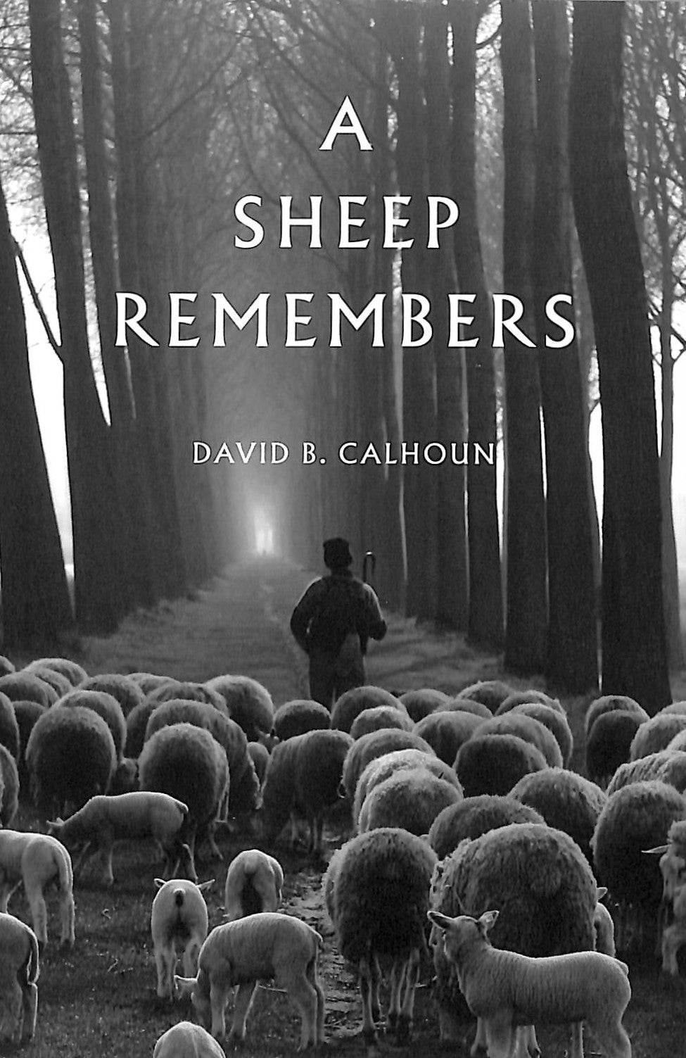 A Sheep Remembers: A Devotional Commentary on Psalm 23
