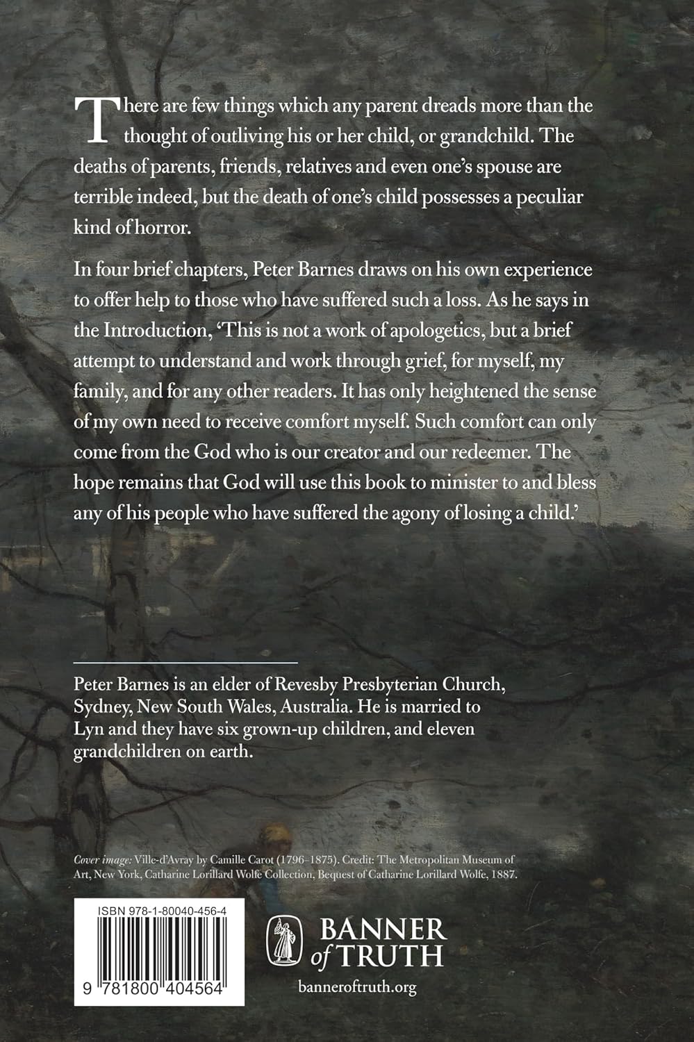 Pain of a Particular Kind: The Loss of a Child