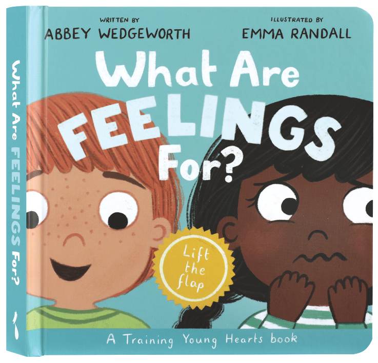 What Are Feelings For?: A Lift-The-Flap Board Book (Training Young Hearts Series)