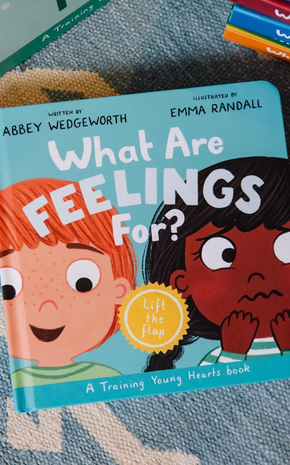 What Are Feelings For?: A Lift-The-Flap Board Book (Training Young Hearts Series)