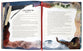 The Kingdom and the King Storybook Bible