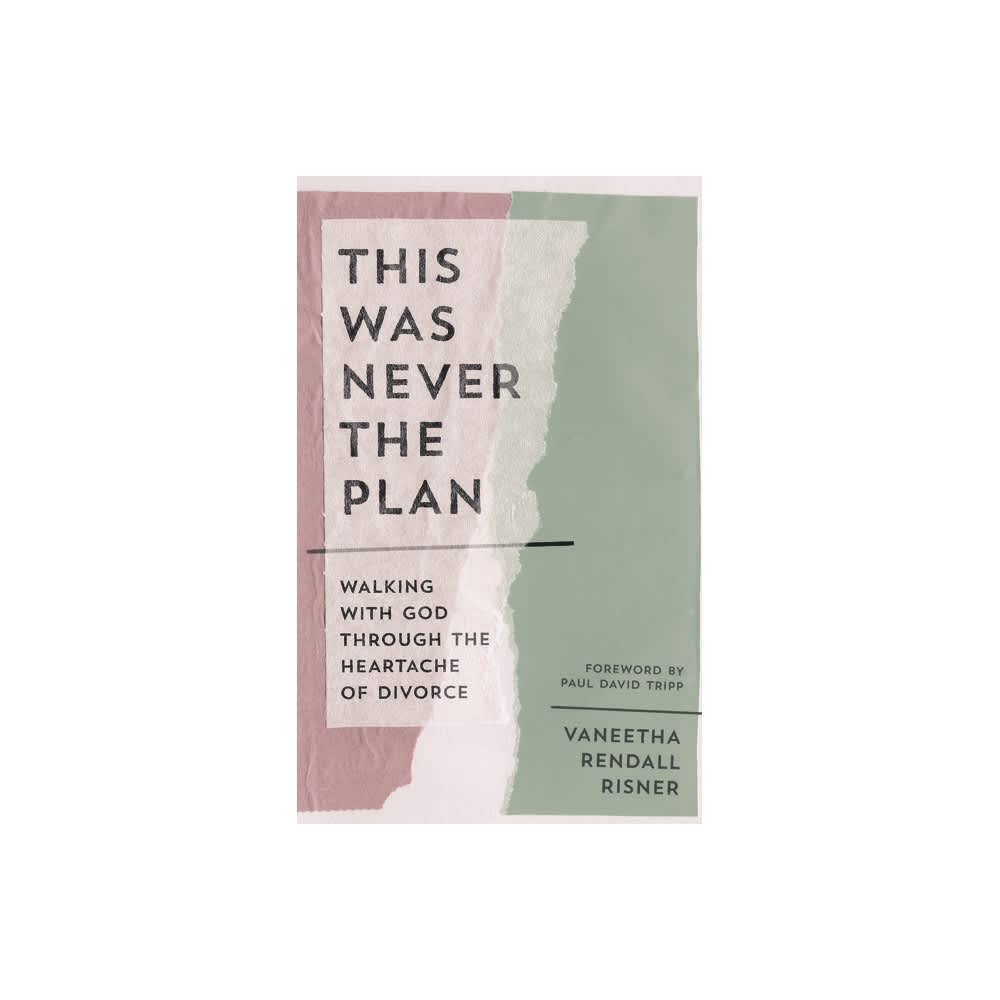 This Was Never the Plan: Walking with God through the Heartache of Divorce