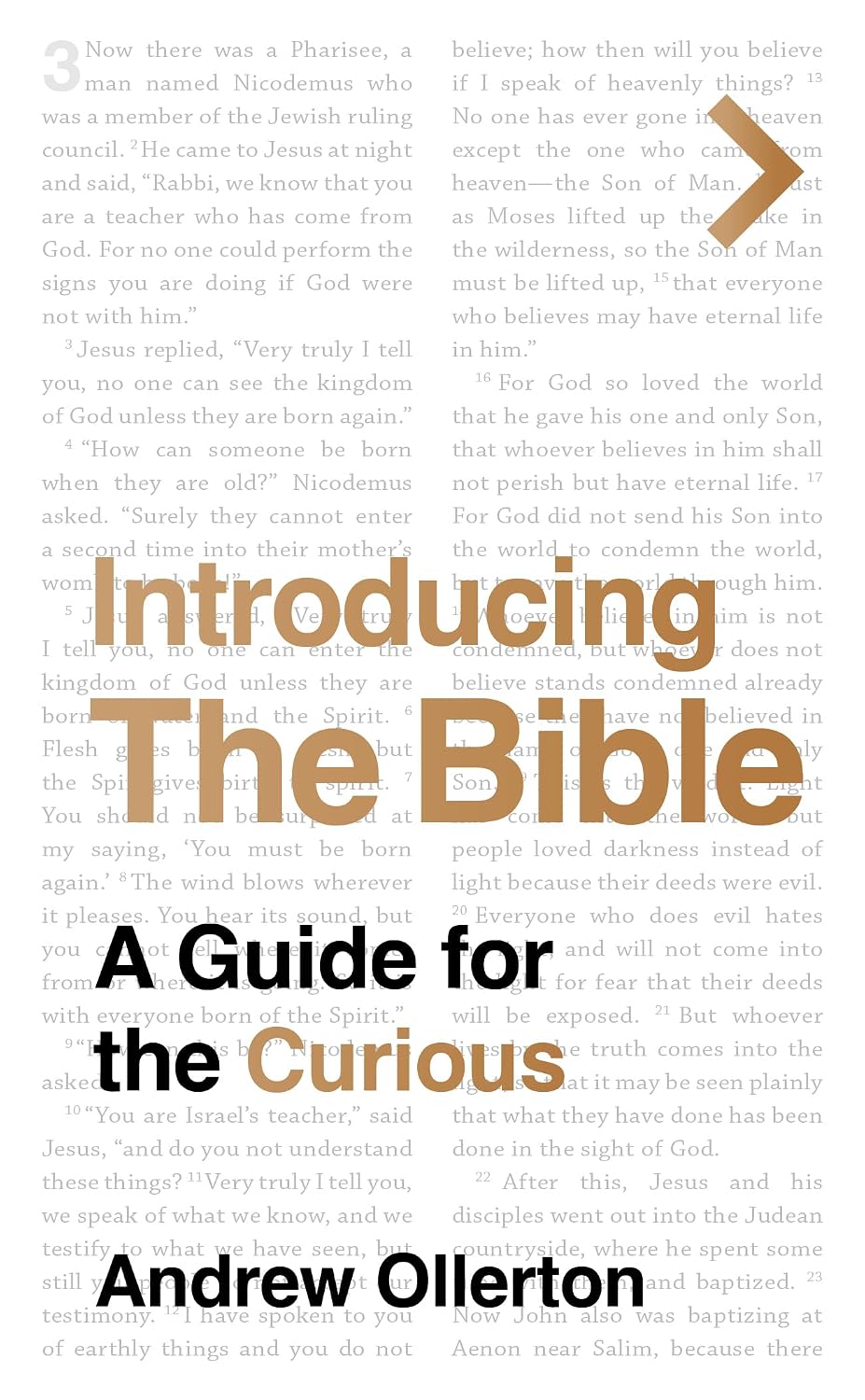 Introducing the Bible: A Guide for the Curious