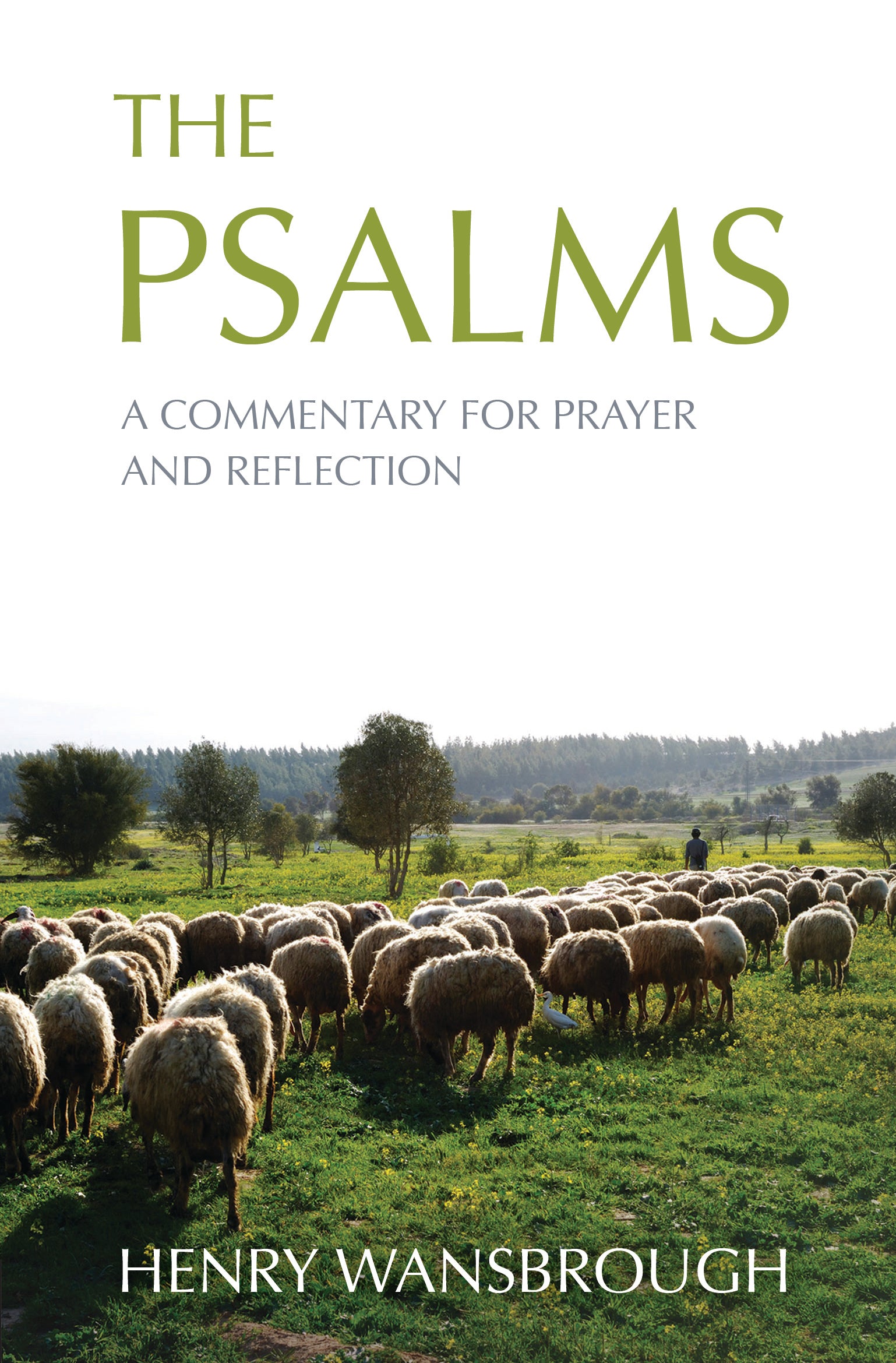 The Psalms: A Commentary For Prayer and Reflection