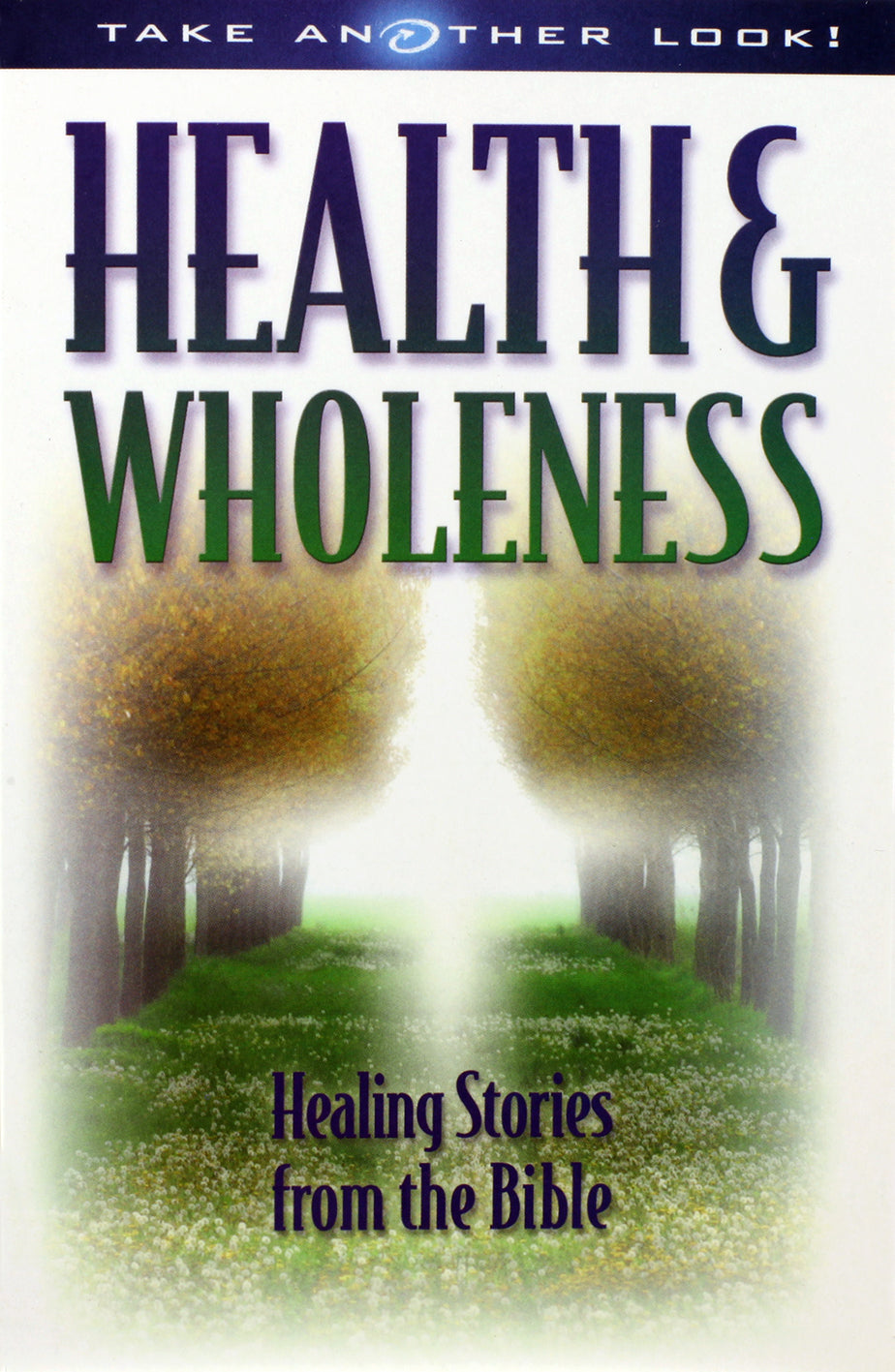 Health and Wholeness: Healing Stories From the Bible (Take Another Look Series)