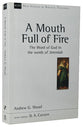 Mouth Full of Fire, A: The Word of God in the Words of Jeremiah (New Studies In Biblical Theology Series)