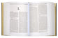 Dictionary of Jesus and the Gospels (2nd Edition) (Ivp Bible Dictionary Series)