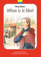 Mary Slessor - What is It Like? (Little Lights Biography Series)