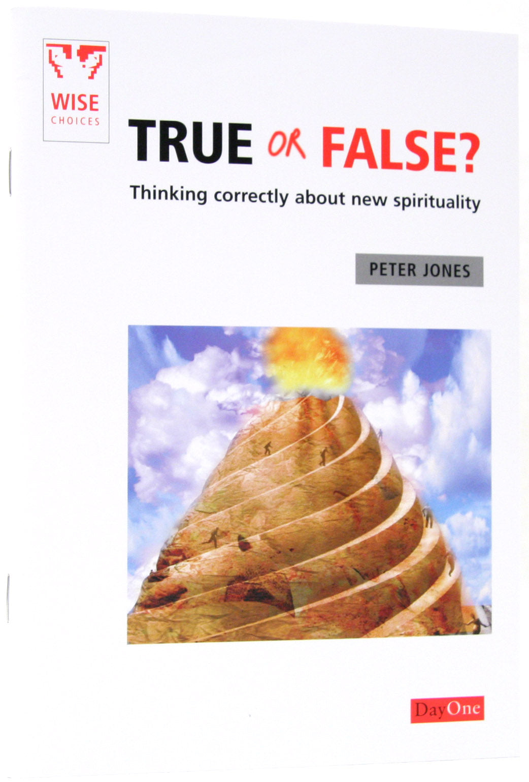 True Or False? (Wise Choices Series)