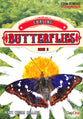 Chasing Butterflies (#02 in From Disgrace To Honour Series)