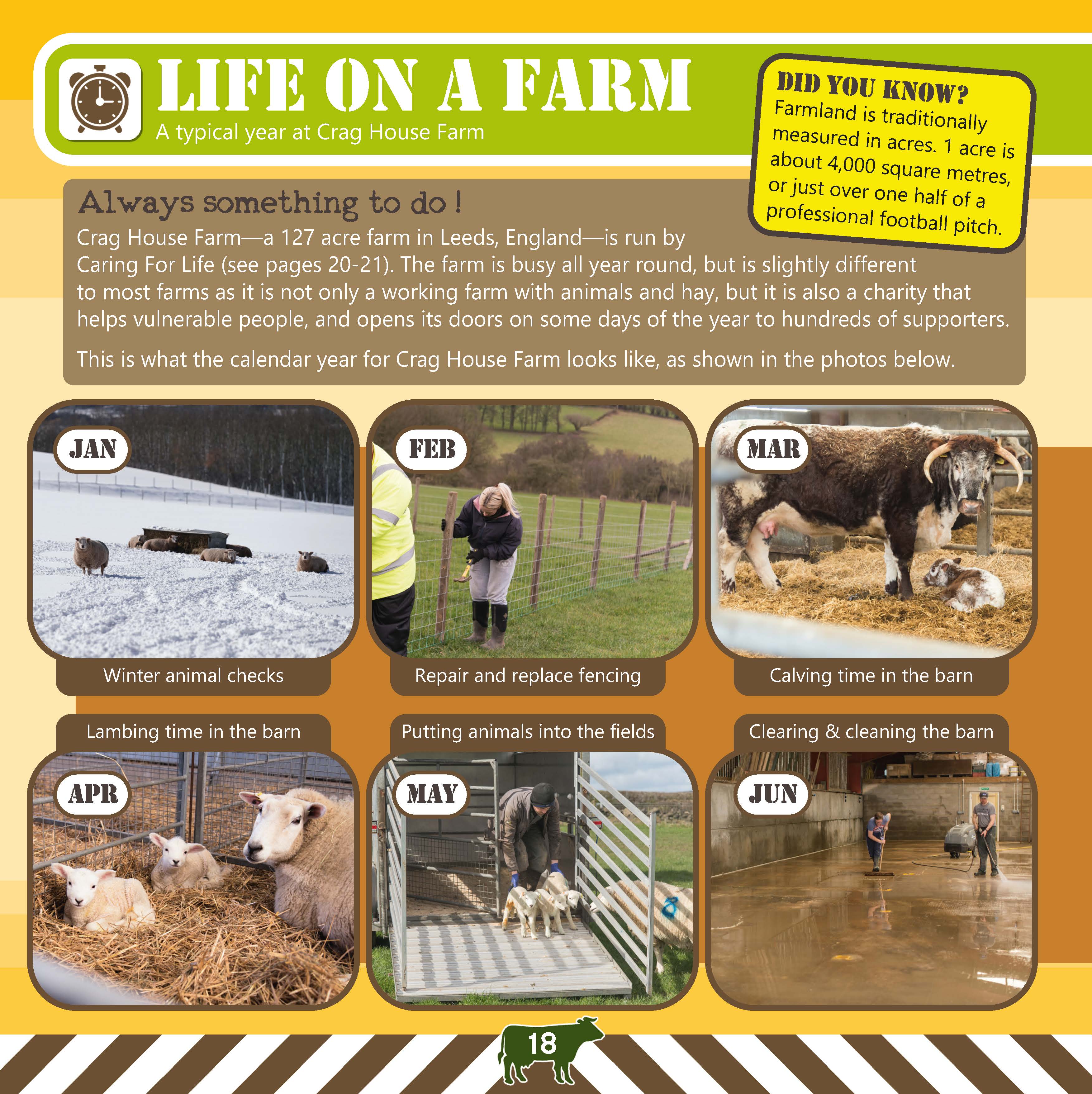 Farm School: Learning About Life, God and the Bible Through the World of Farming