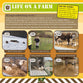 Farm School: Learning About Life, God and the Bible Through the World of Farming