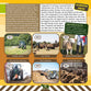 Farm School: Learning About Life, God and the Bible Through the World of Farming
