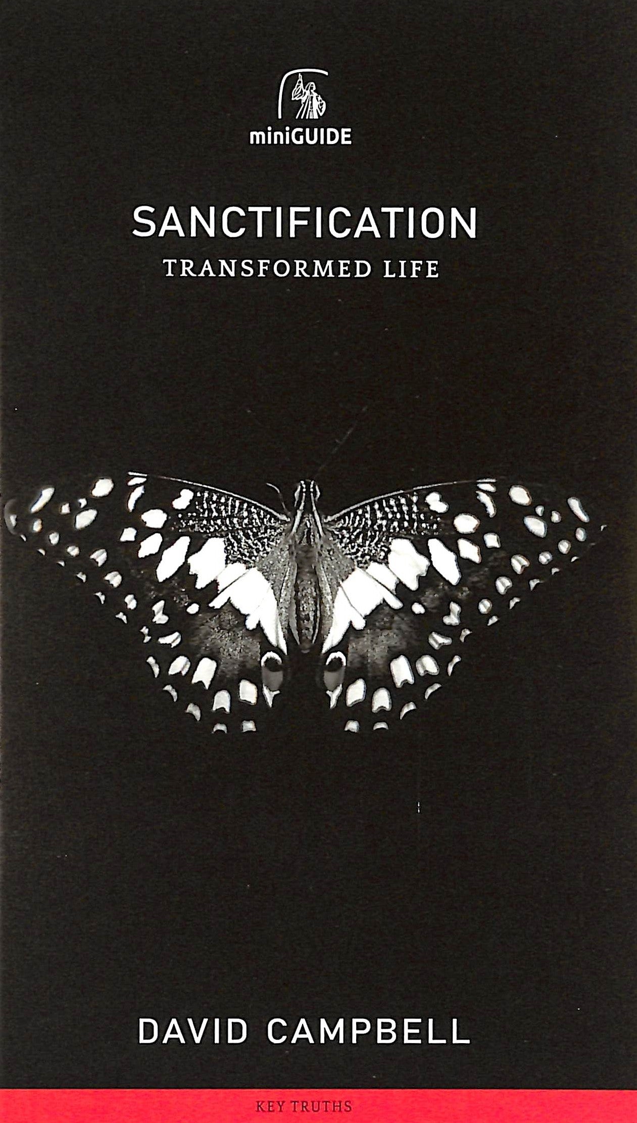 Sanctification: Transformed Life (Banner Mini-guides Series)