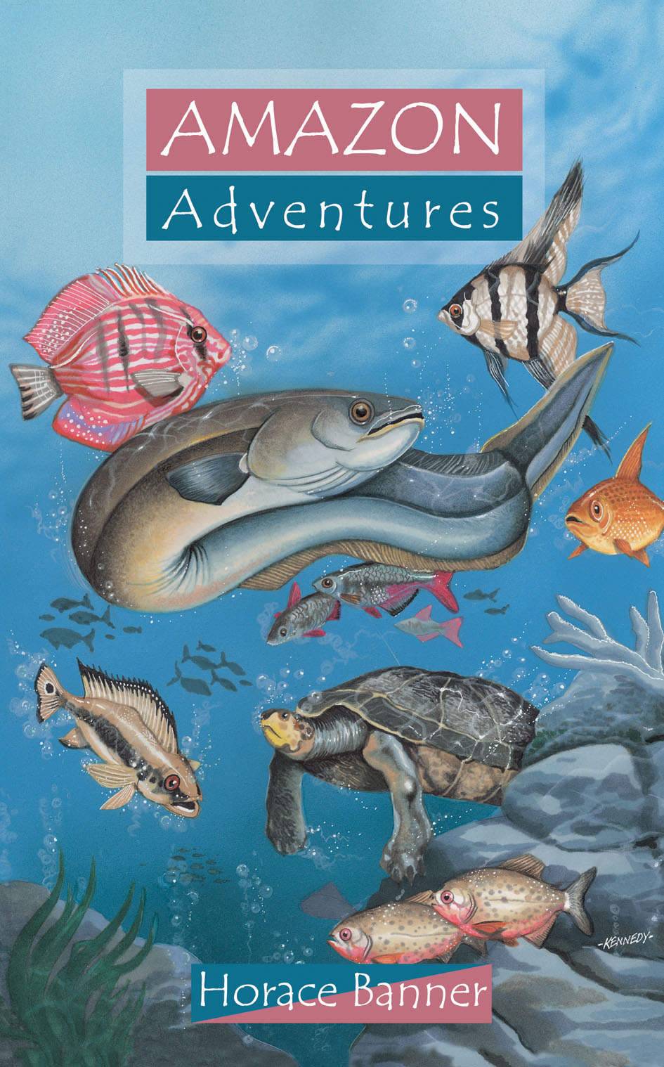 Amazon Adventures (Adventures Series)