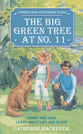 The Canterbury Place: Big Green Tree At No. 11 (Stories From Canterbury Place Series)