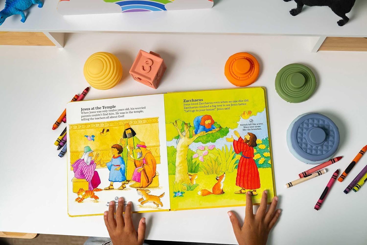 Baby's First Bible
