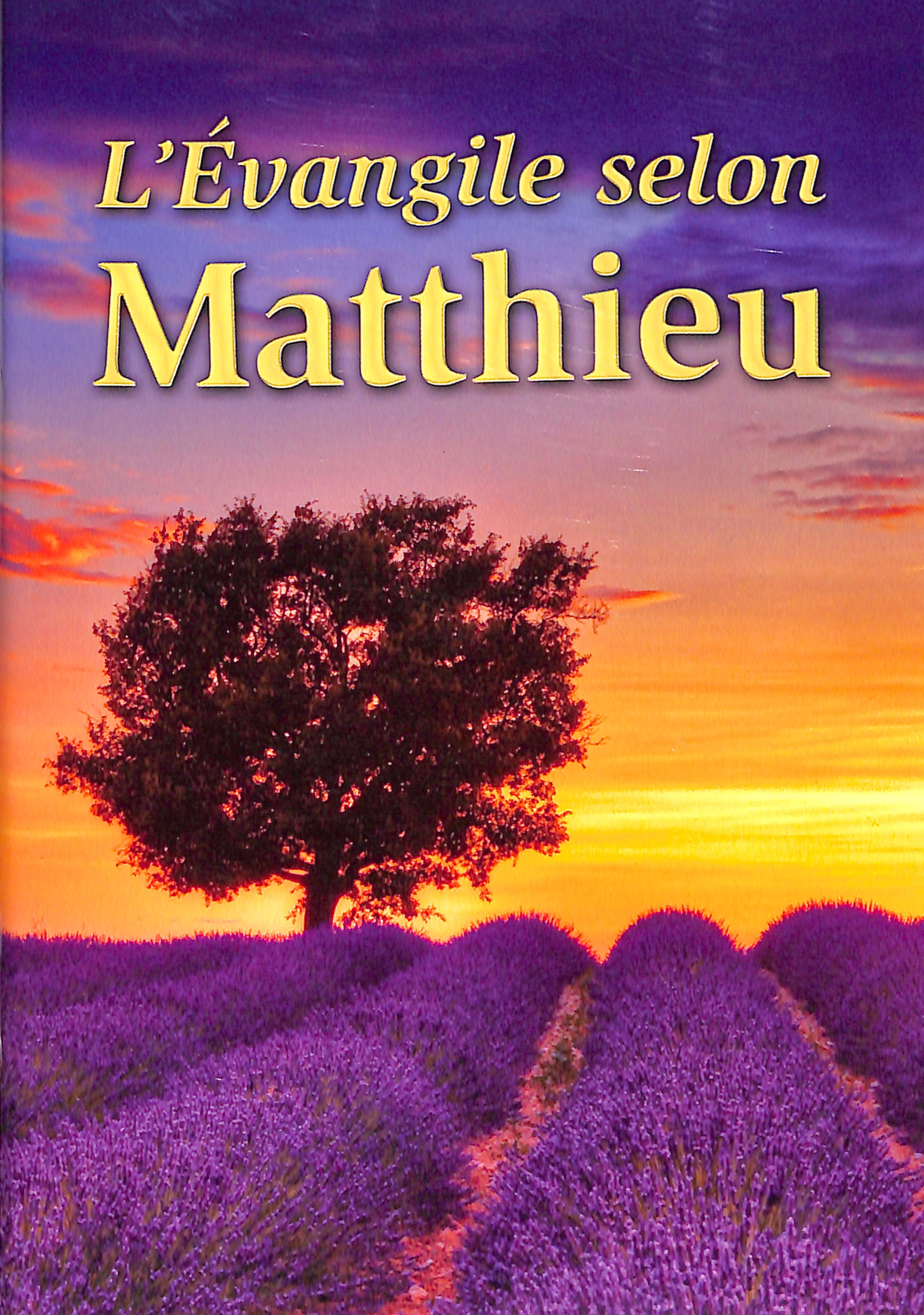 French Gospel According to Matthew (Black Letter Edition)