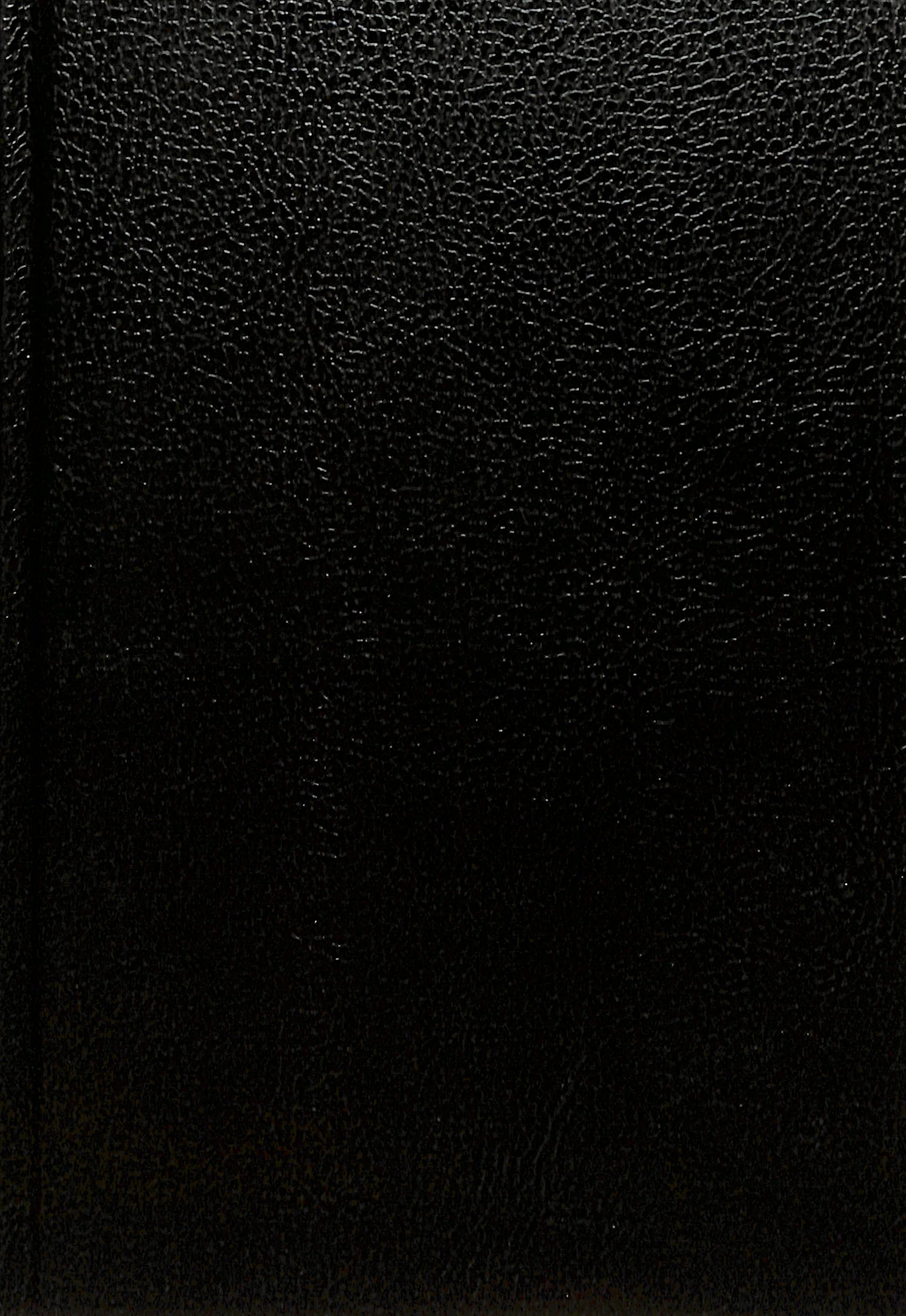 Arabic Van Dyck Bible Black (Black Letter Edition)