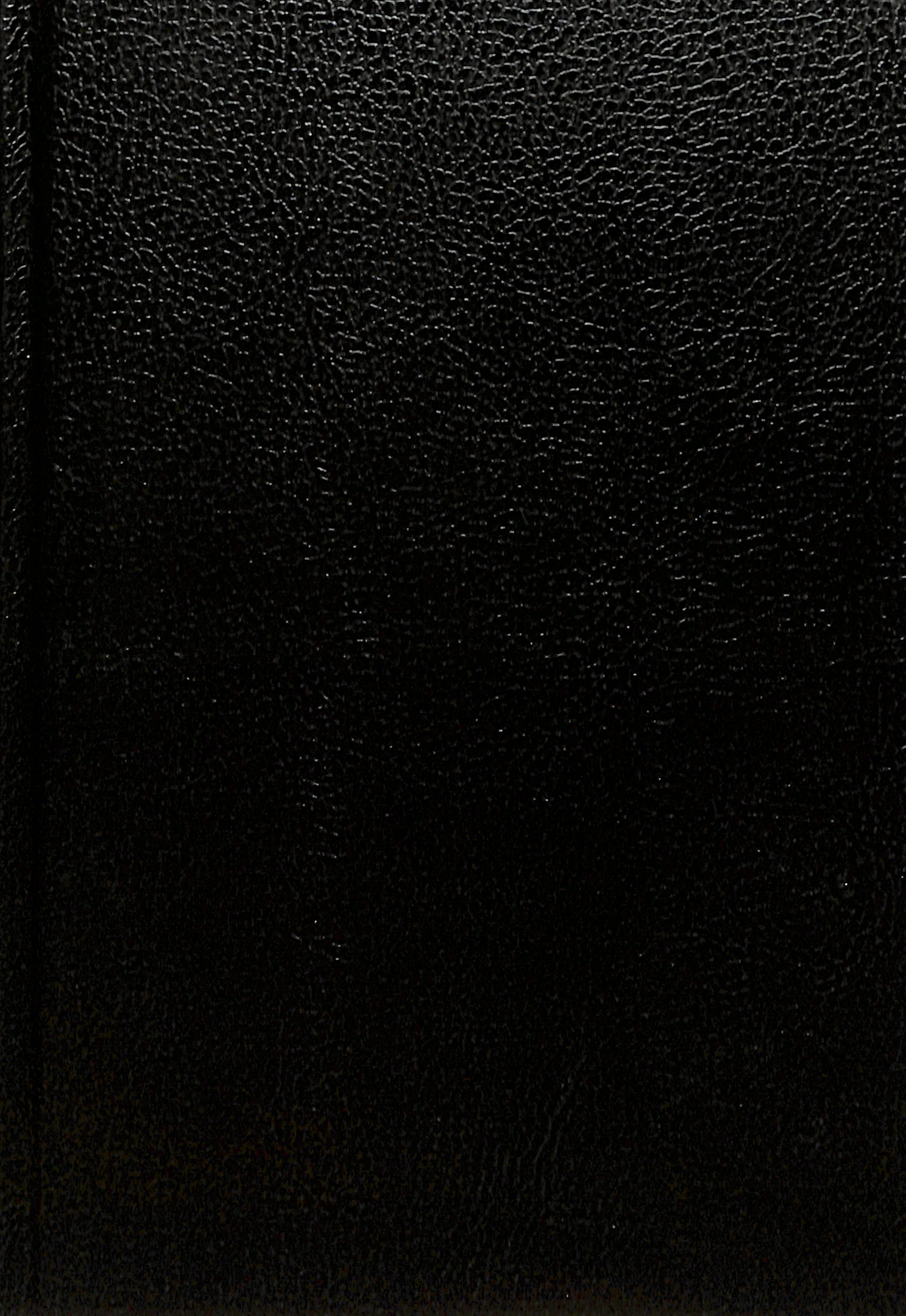 Arabic Van Dyck Bible Black (Black Letter Edition)