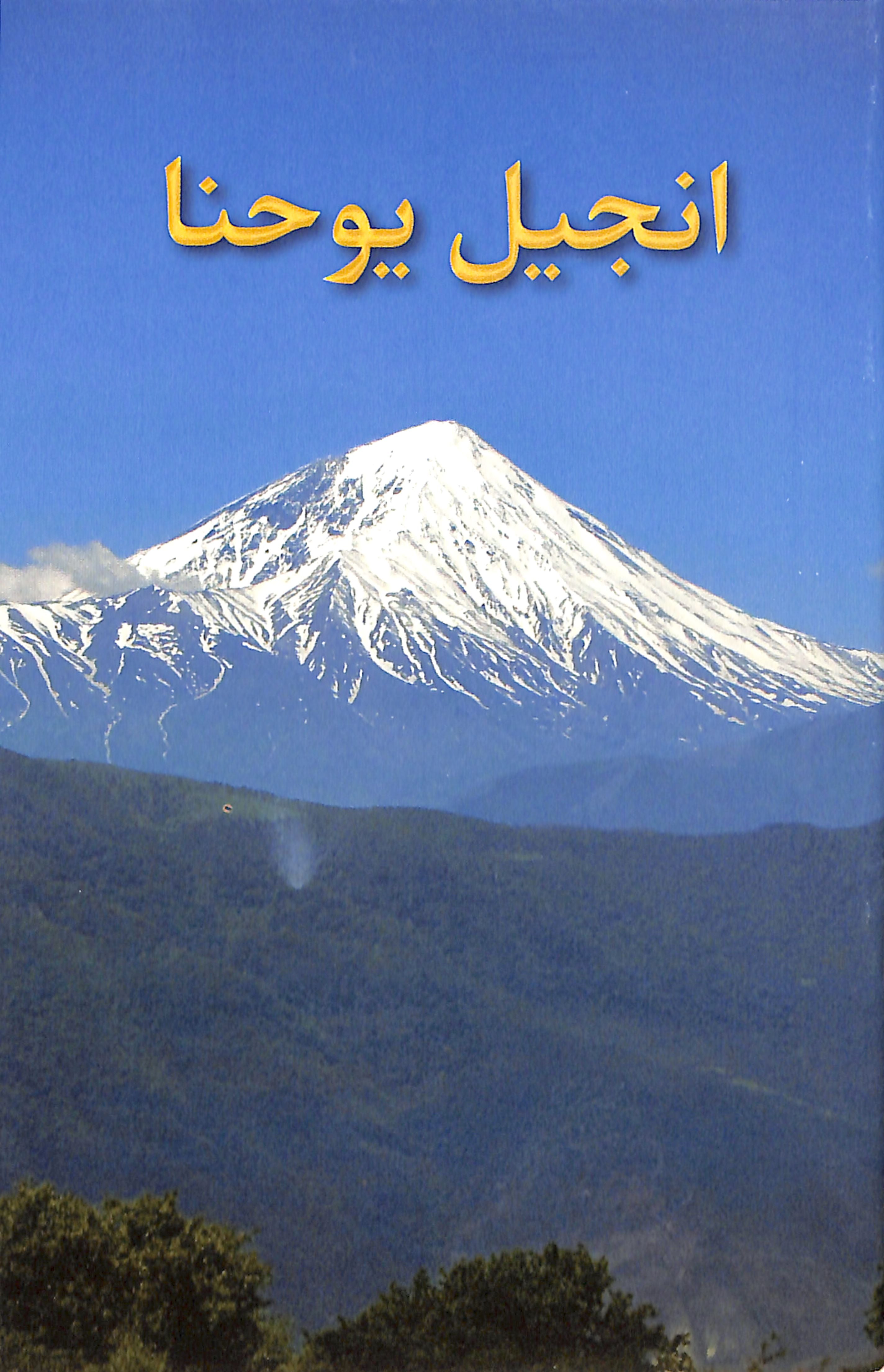 Persian Farsi Gospel According to John (Black Letter Edition)