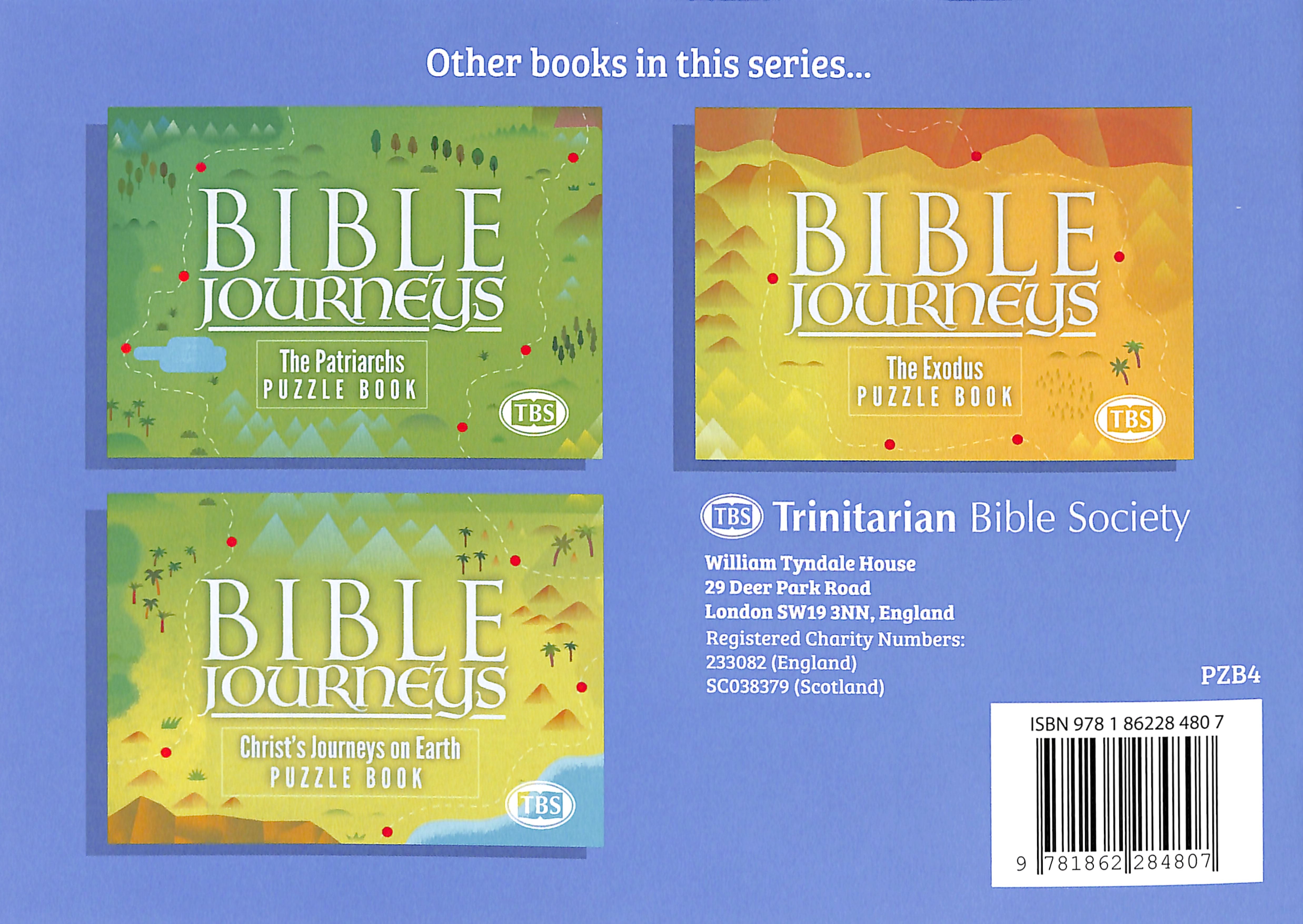 Paul's Missionary Journeys (#04 in Bible Journeys Puzzle Book Series)