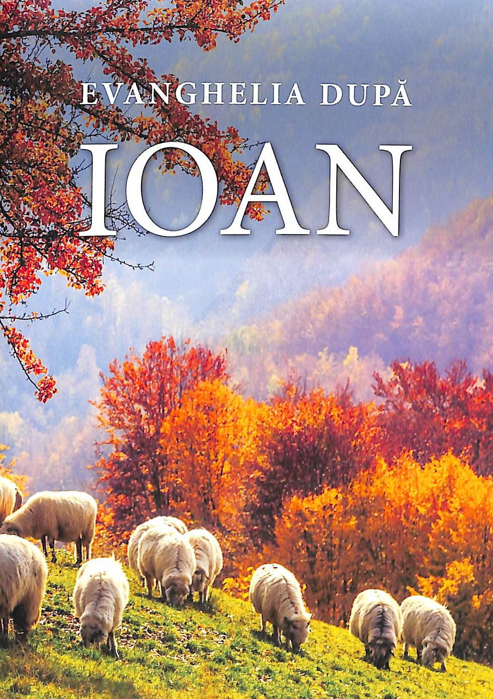 Romanian Gospel According to John