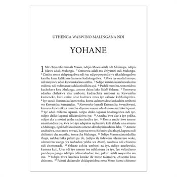 Chichewa New Testament Blue Large Print (Malawi) (Black Letter Edition)