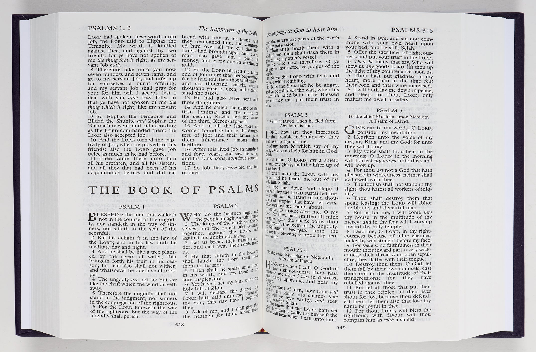 KJV Royal Ruby Platinum Jubilee Bible Purple (Black Letter Edition)