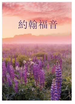 Traditional Mandarin Chinese Gospel According to John