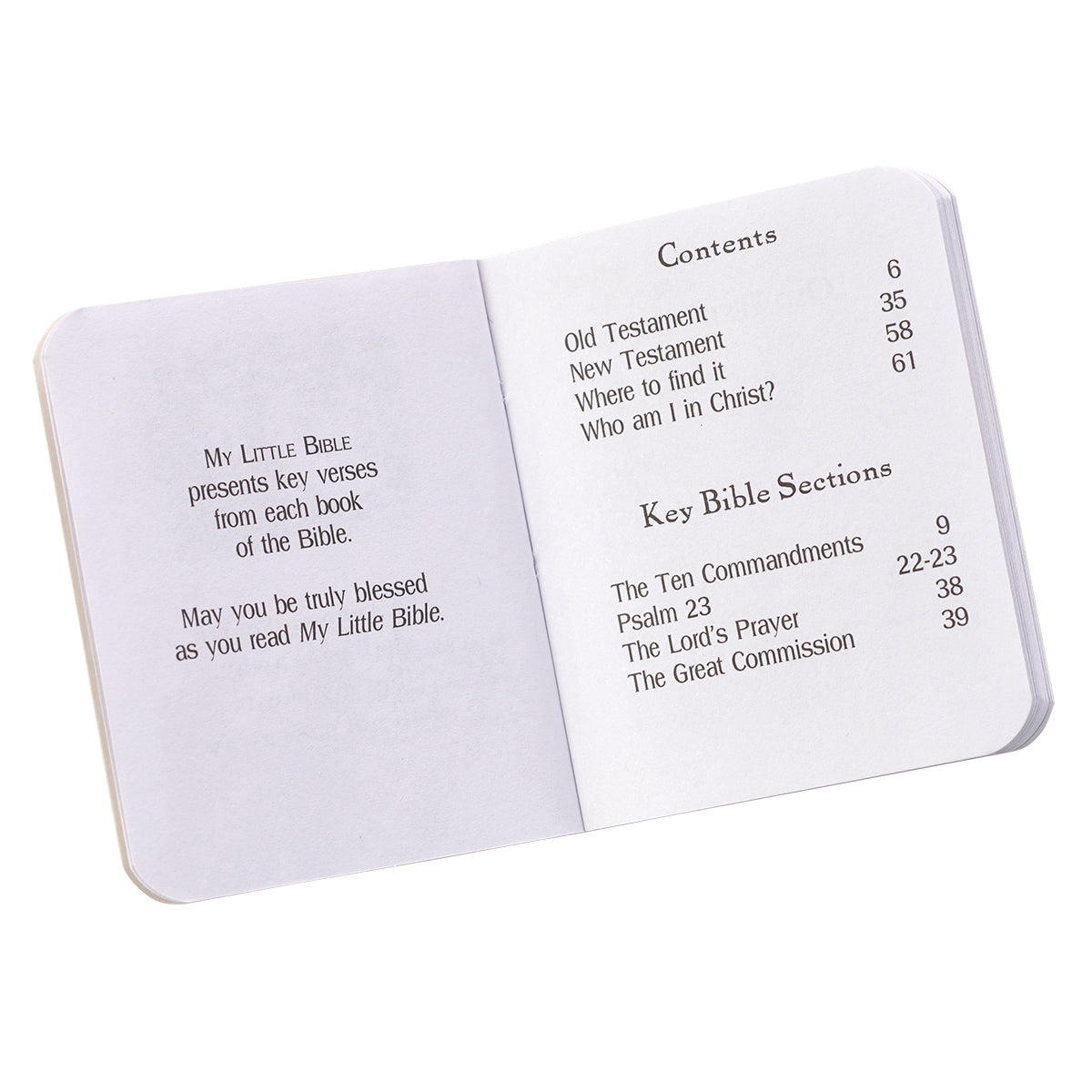 Novelty: My Little Bible Maroon