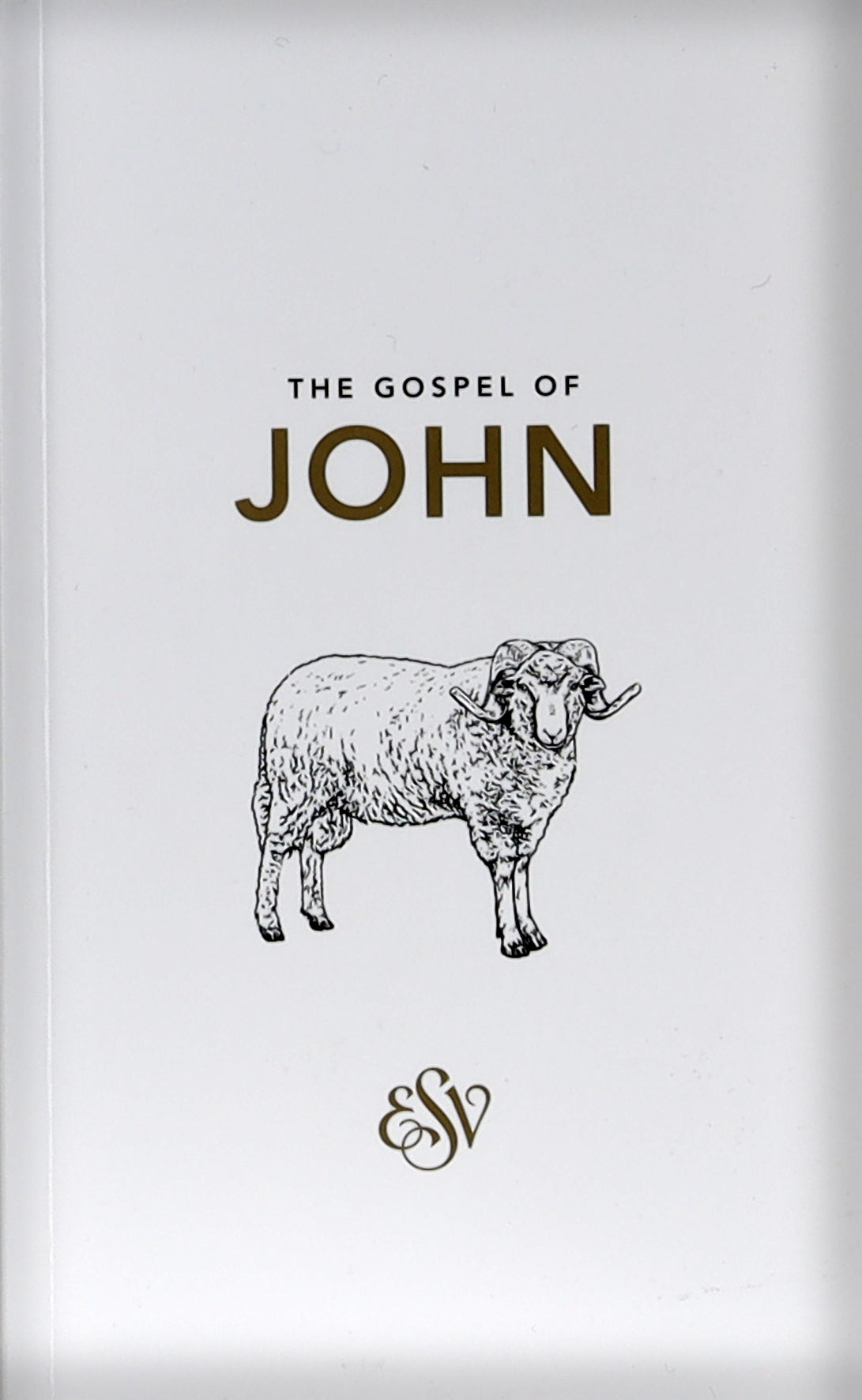 ESV John's Gospel