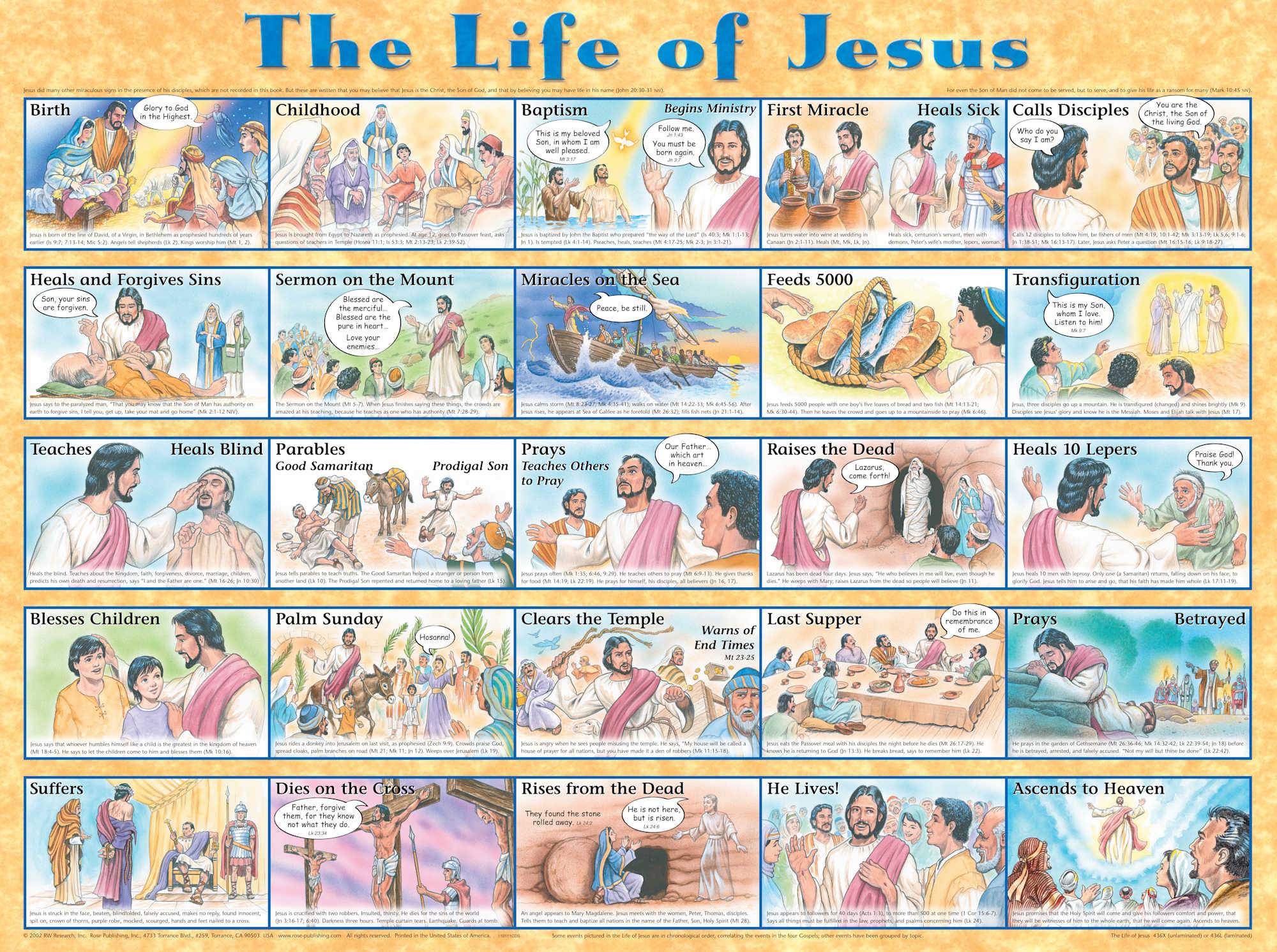 Wall Chart: Life of Jesus (Laminated)