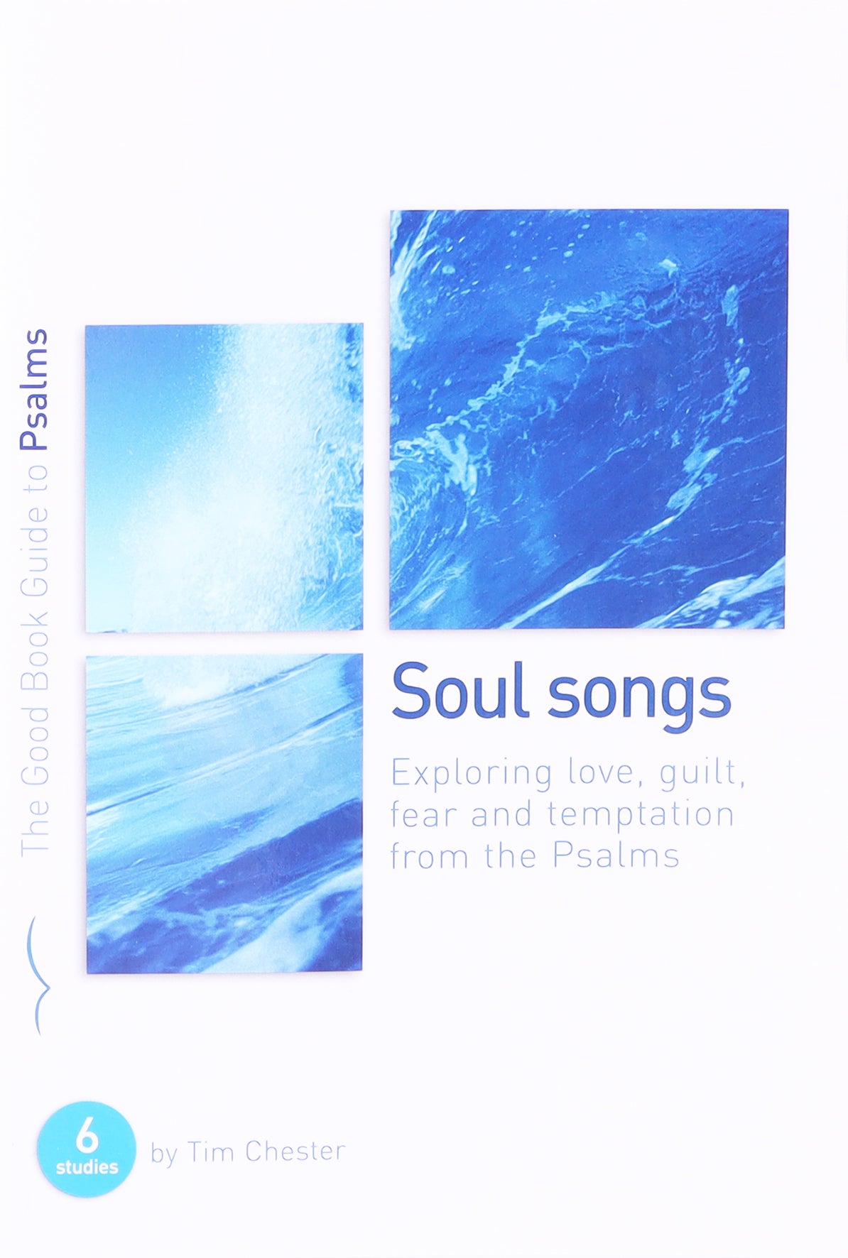 Soul Songs: Exploring Love, Temptation, Guilt and Fear From the Psalms (6 Studies) (Good Book Guides Series)