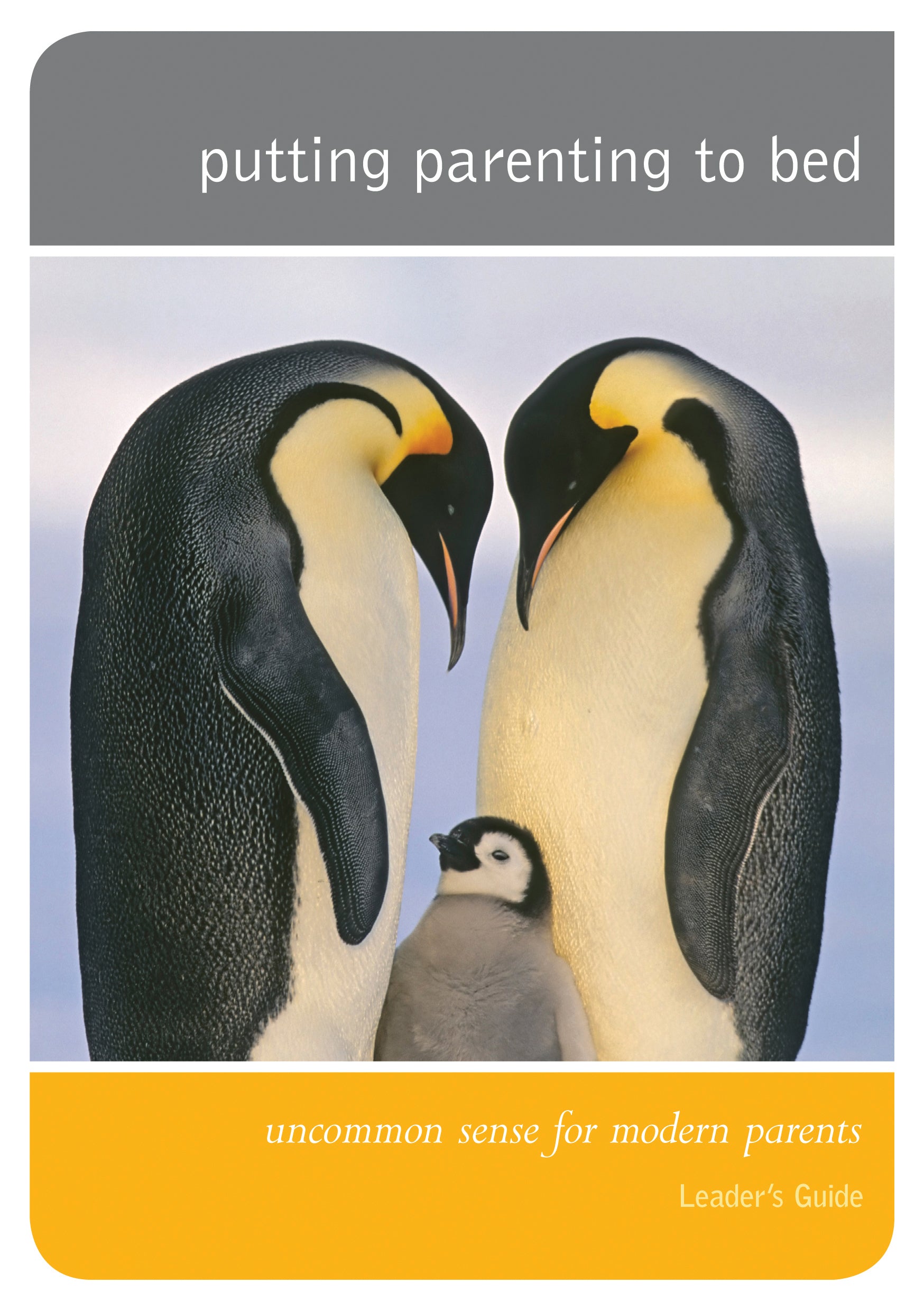 Putting Parenting to Bed (Leader's Guide) (Good Book Guides Series)