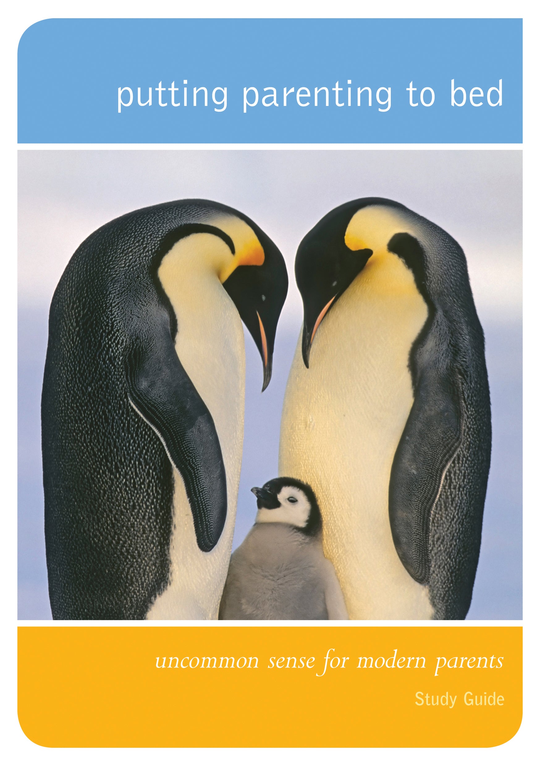 Putting Parenting to Bed (Study Guide)