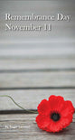 Remembrance Day (50 Pack)