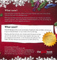 Countdown to Christmas (25 Pack)