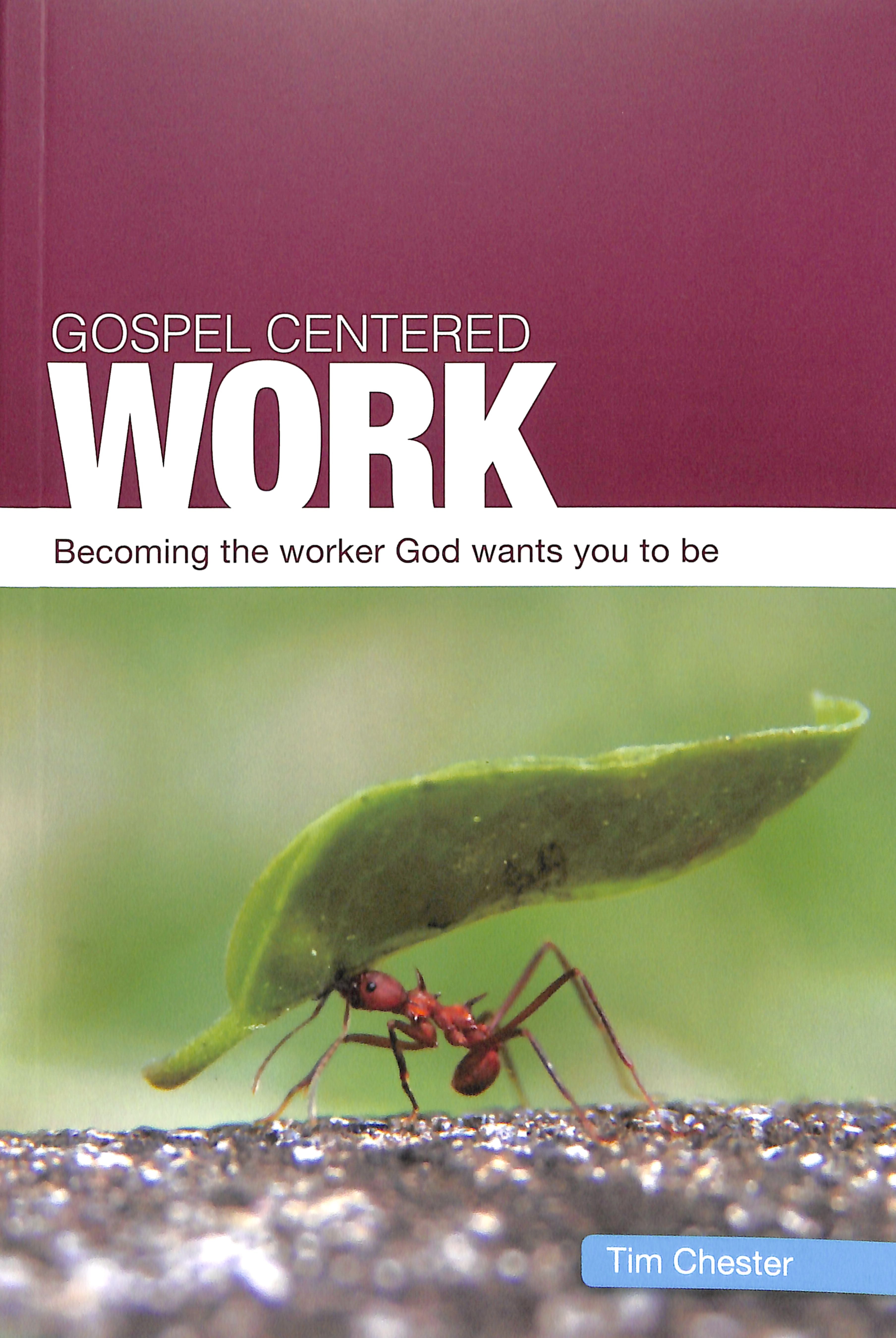 Gospel-Centered Work: Becoming the Worker God Wants You to Be (Gospel Centred Series)