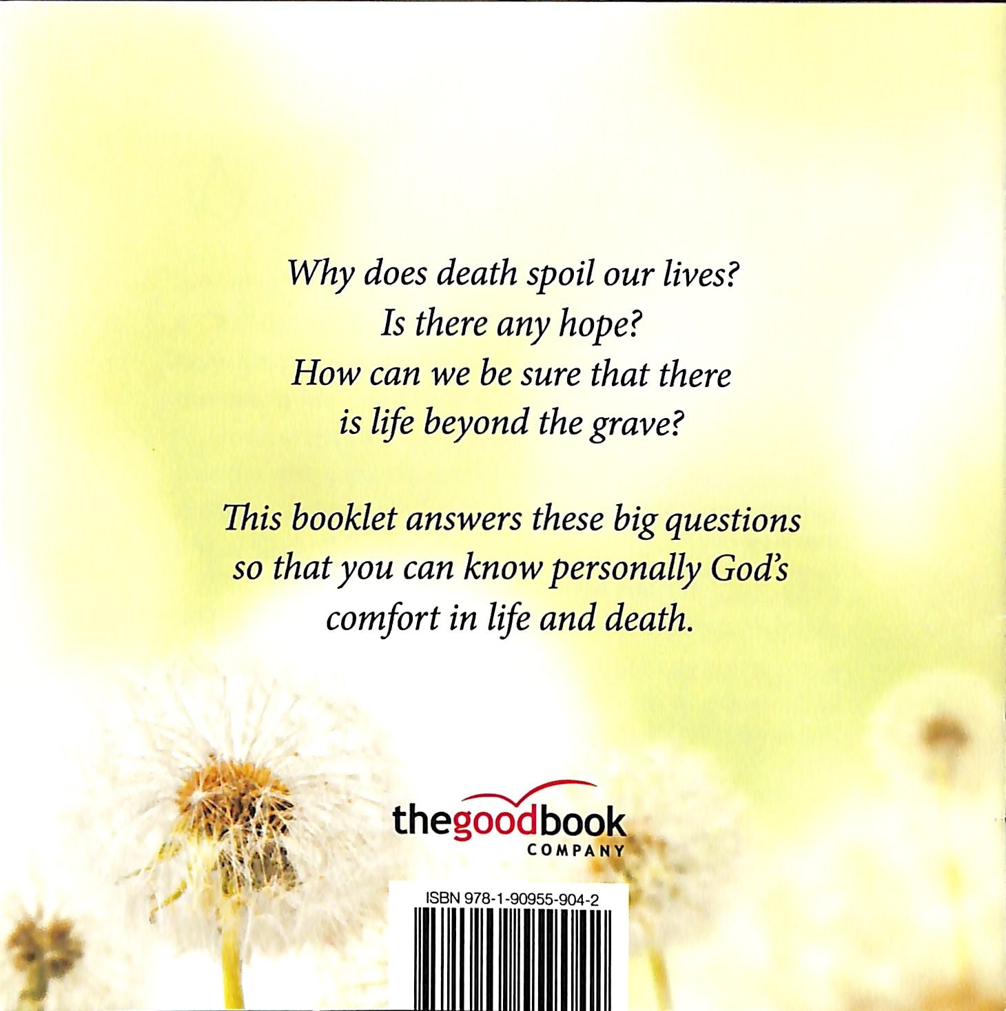 Hope to Carry on: Knowing God's Comfort in Life and Death