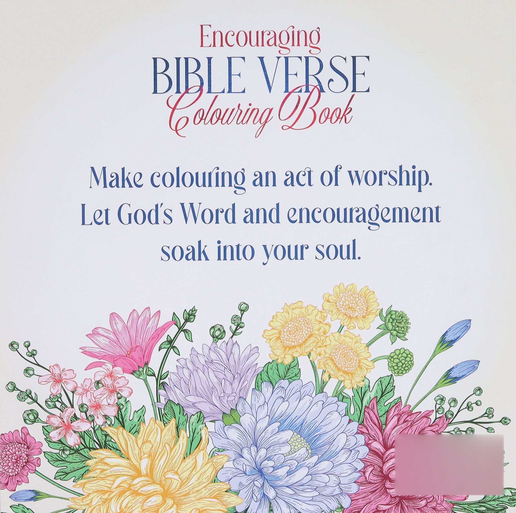 Encouraging Bible Verse Colouring Book (Adult Coloring Books Series)