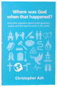 Where Was God When That Happened? (Questions Christian Ask Series)