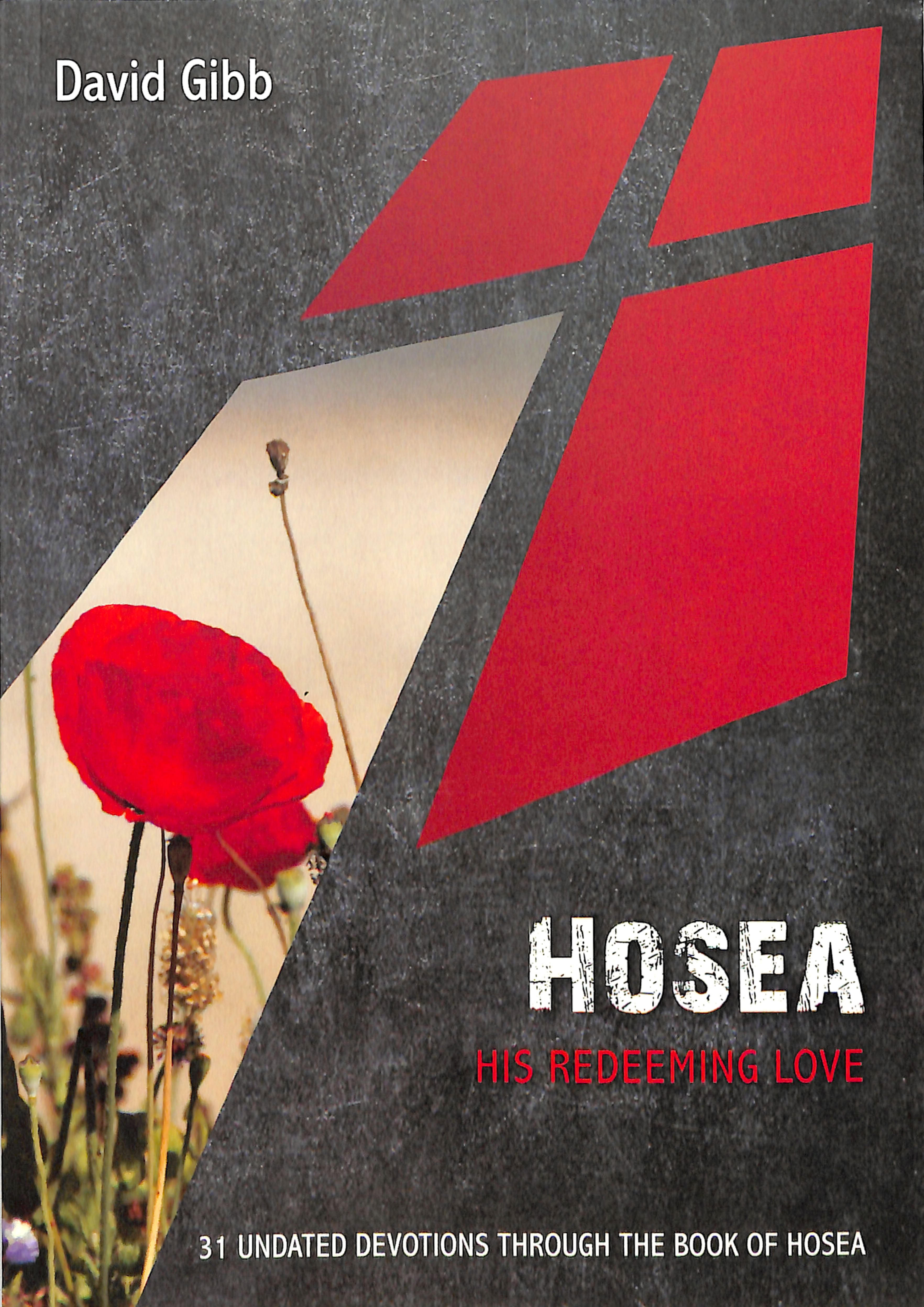 Hosea: His Redeeming Love: 50 Undated Devotionns Through the Book of Hosea (10 Publishing Devotions Series)