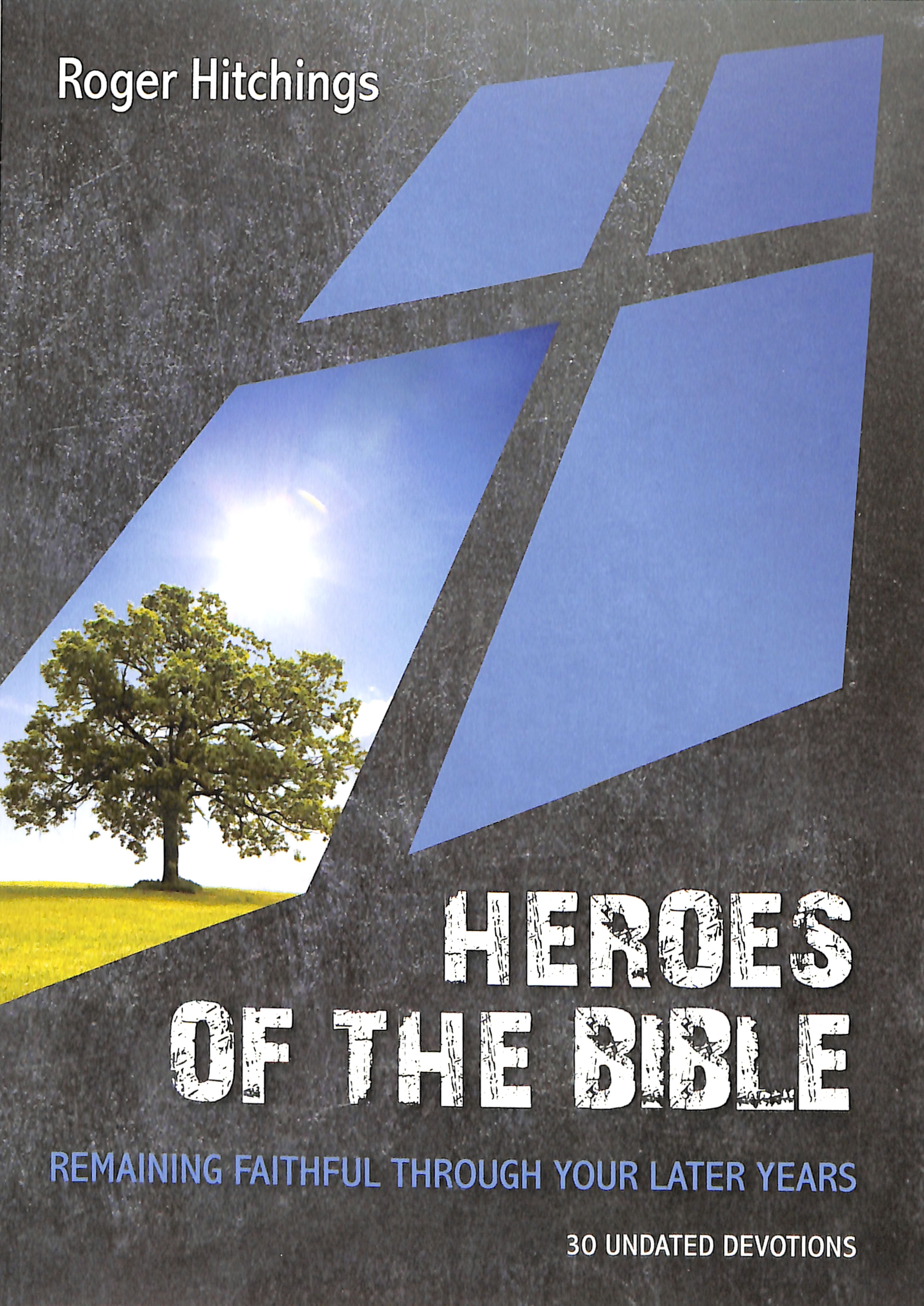 Heroes of the Bible: Remaining Faithful Through Your Later Years: 30 Undated Devotions (10 Publishing Devotions Series)