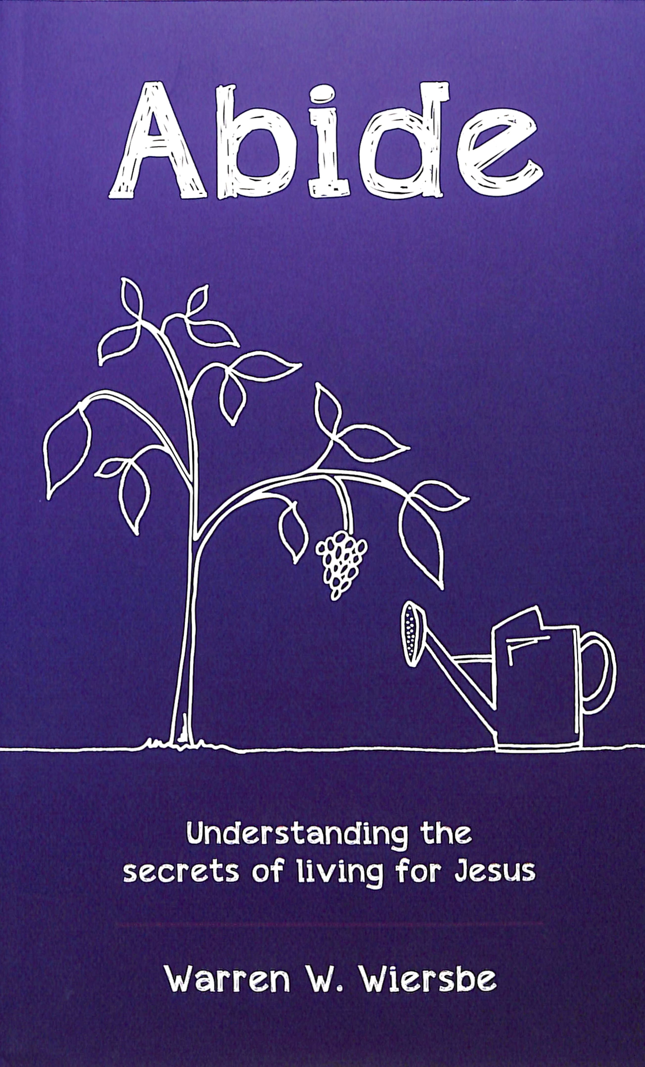 Abide: Understanding the Secrets of Living For Jesus