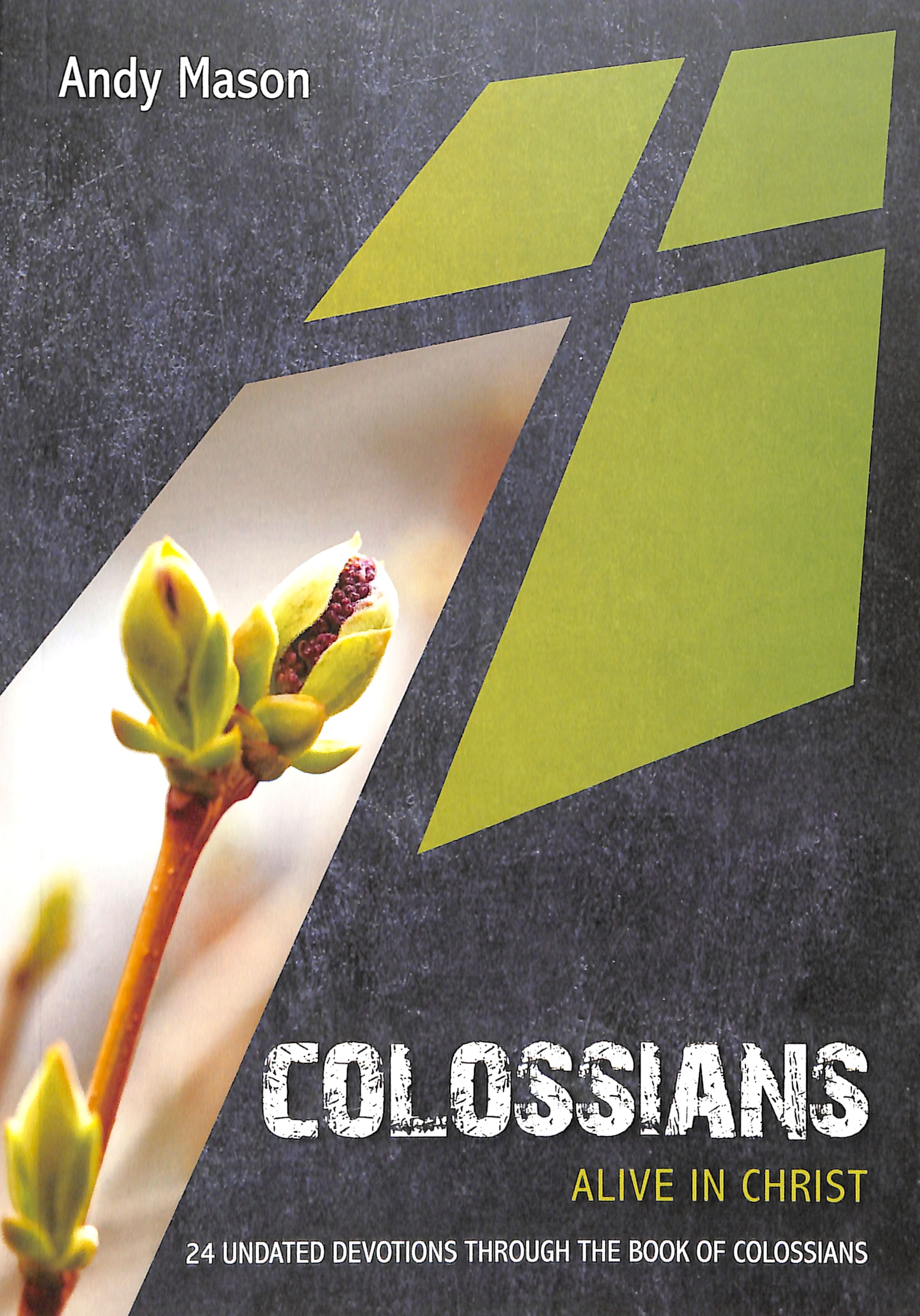 Colossians: Alive in Christ: 24 Undated Devotions Through the Book of Colossians (10 Publishing Devotions Series)