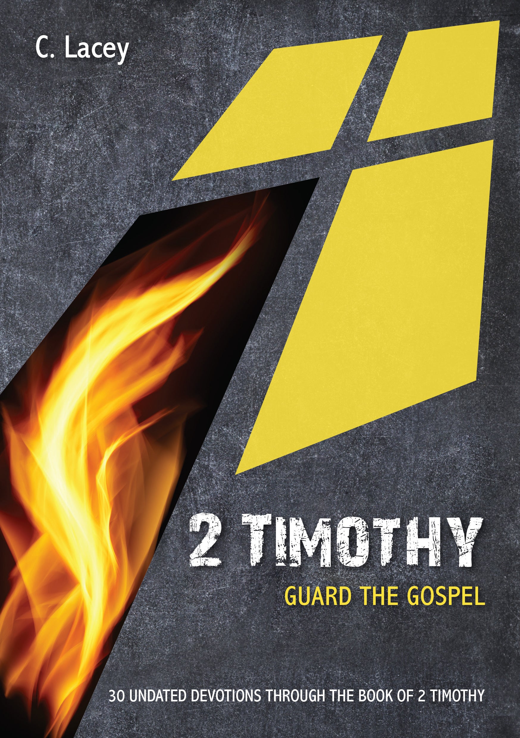 2 Timothy: Guard the Gospel: 30 Undated Bible Readings (10 Publishing Devotions Series)